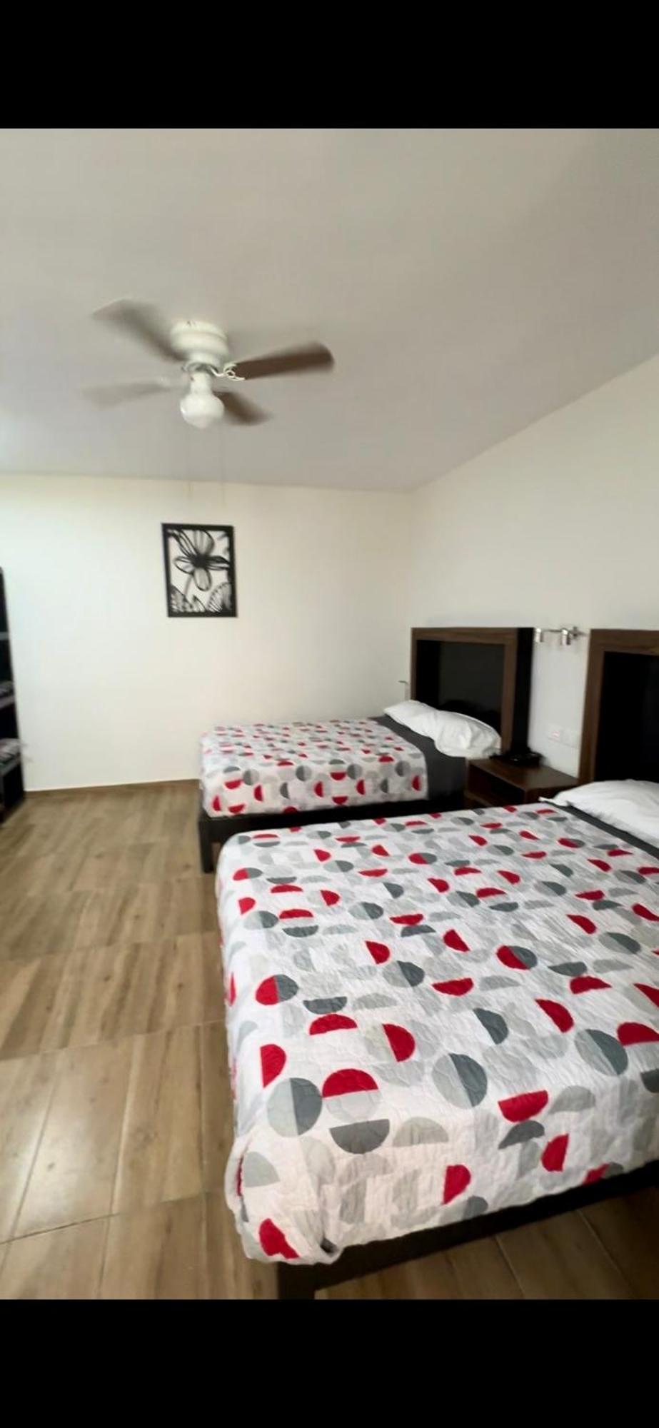 Hotel Del Alba Inn & Suites Aguascalientes Eksteriør billede